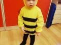 IMG-20190214-WA0016